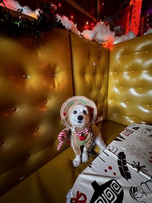 Nickel City by null Nickel City by null