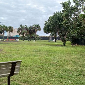 Lori Wilson Dog Park - Looking forward from the back of the park - Dog Parks Near Me - Cocoa Beach, Florida Lori Wilson Dog Park - Looking forward from the back of the park - Dog Parks Near Me - Cocoa Beach, Florida