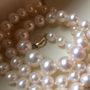 Photo of Pearl Collective