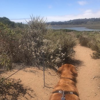 Los Osos Elfin Forest - Parks Near Me