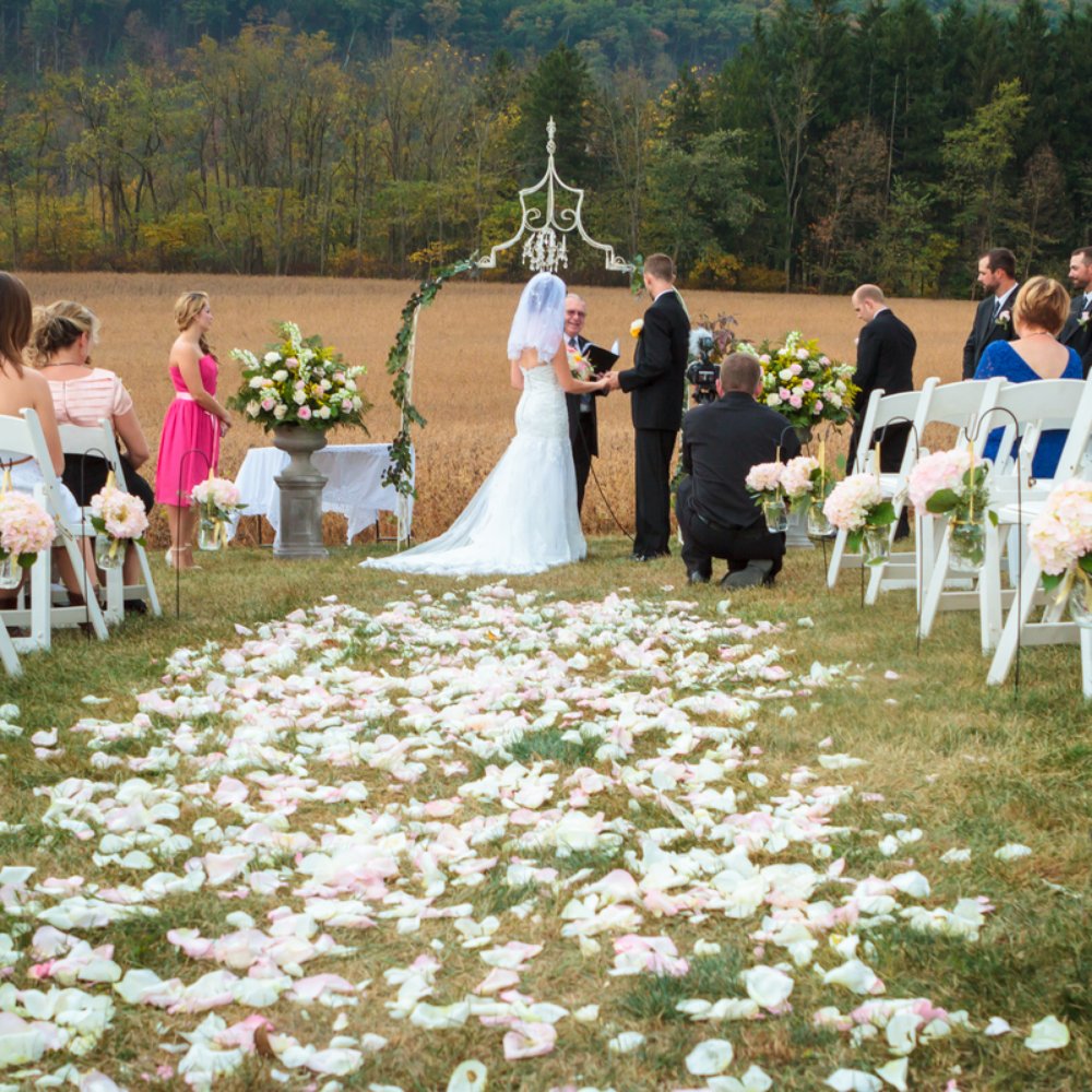 Classic Rustic Weddings, image size:1000x1000