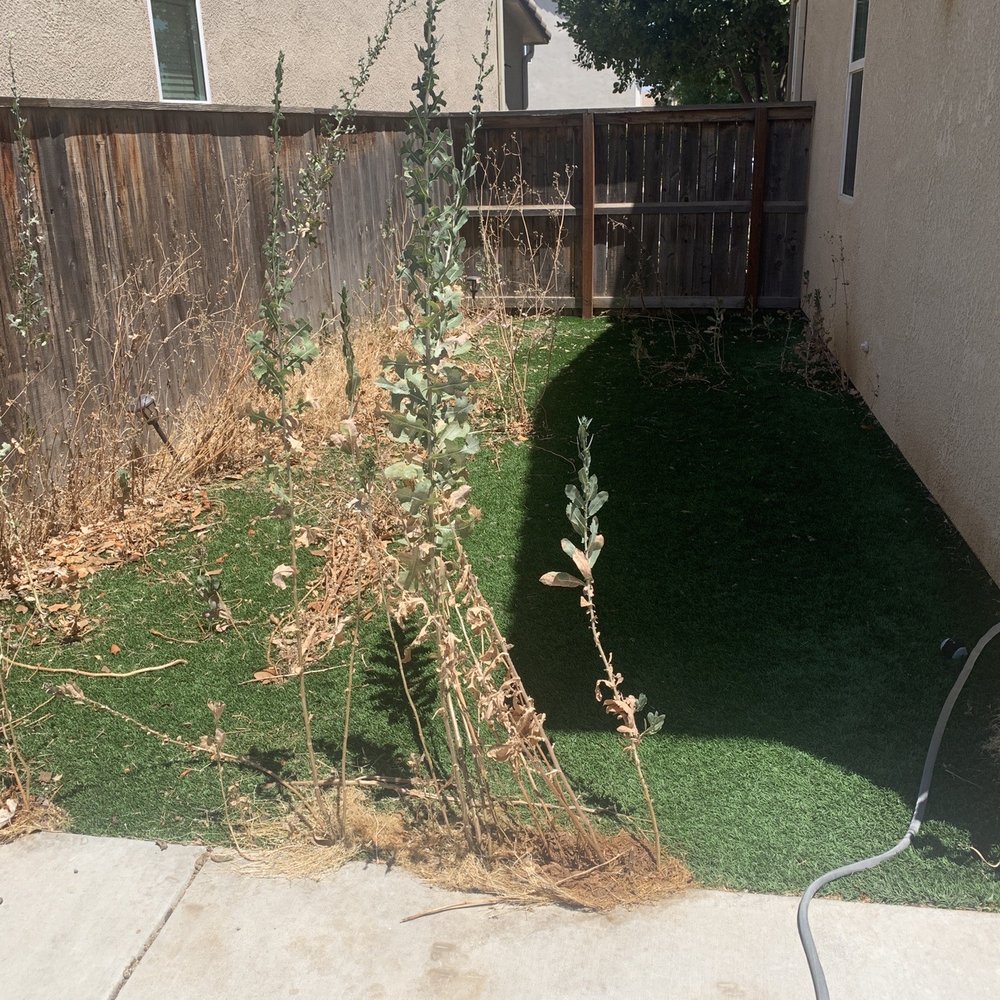 Tucker's Landscape & Tree - Before, turf yard - Landscaping Near Me Tucker's Landscape & Tree - Before, turf yard - Landscaping Near Me