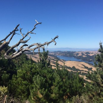 Seaview Trail At Inspiration Point - Reservoir - Hiking Near Me - Berkeley, California Seaview Trail At Inspiration Point - Reservoir - Hiking Near Me - Berkeley, California