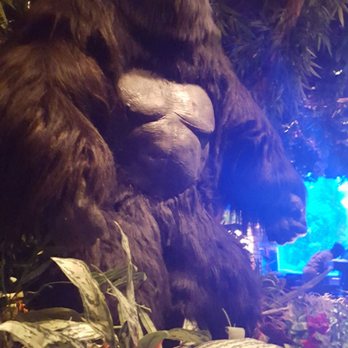 Rainforest Cafe - American Near Me - Edison, New Jersey Rainforest Cafe - American Near Me - Edison, New Jersey