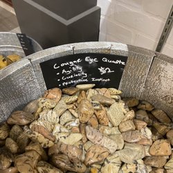 Wandering Stones - Cougar Eye Quartz