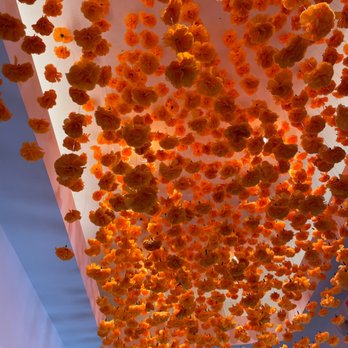 Mezcalito - orange flowers suspended from the ceiling - Tex-Mex Near Me - Clayton, North Carolina Mezcalito - orange flowers suspended from the ceiling - Tex-Mex Near Me - Clayton, North Carolina