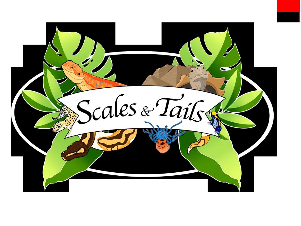 SCALES & TAILS Updated August 2024 Titusville, Florida Petting