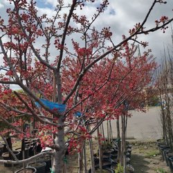 Kurtz Bros. Mulch & Soils