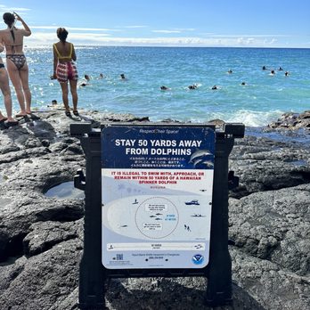 Pae'a aka two-step - Signs warning not to swim too close to the wild dolphins. - Snorkeling Near Me - Captain Cook, Hawaii Pae'a aka two-step - Signs warning not to swim too close to the wild dolphins. - Snorkeling Near Me - Captain Cook, Hawaii