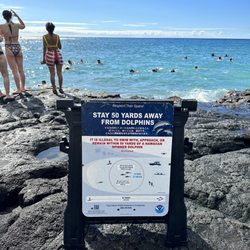 Pae'a aka two-step - Signs warning not to swim too close to the wild dolphins.