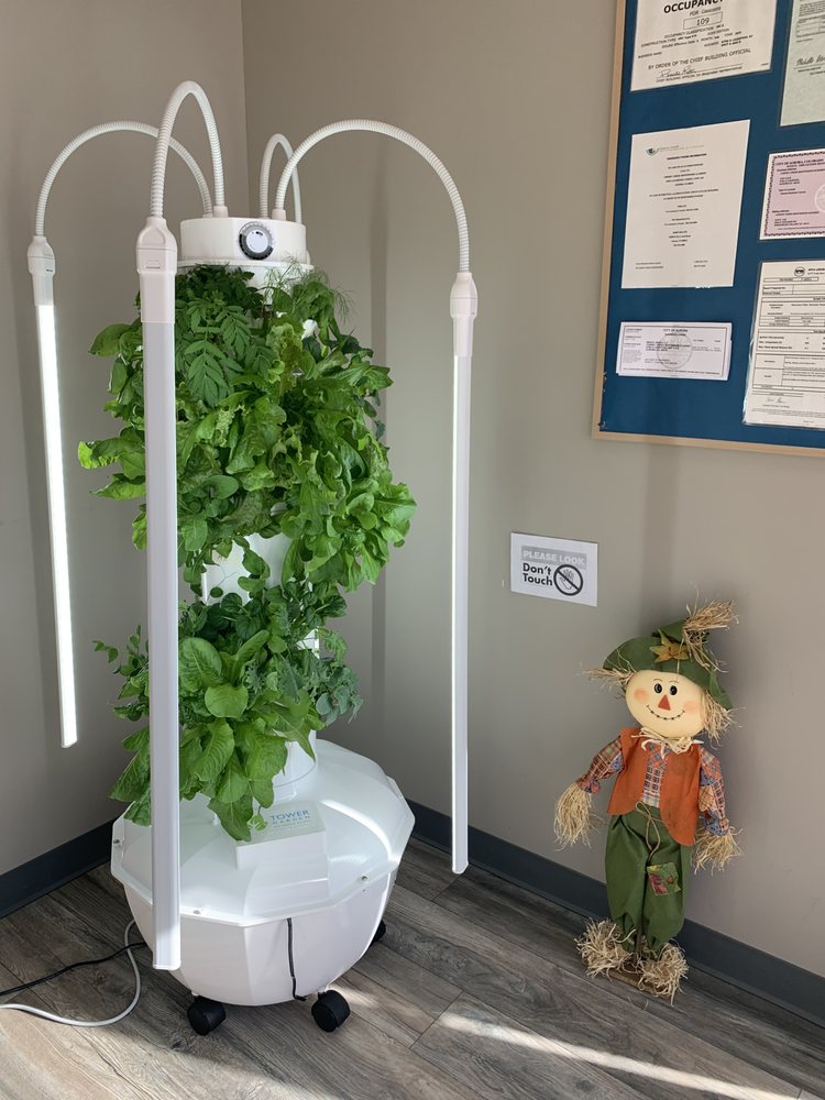 Cherry Creek Montessori Academy - childcare center in Aurora, CO