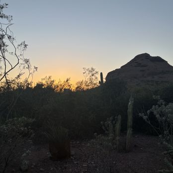 Desert Botanical Garden - Botanical Gardens Near Me - Phoenix, Arizona