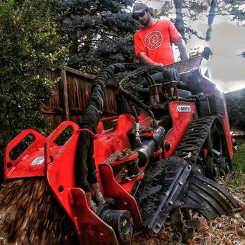 Climbers Choice Tree Care - Stump removal - Tree Services Near Me - Littleton, Colorado