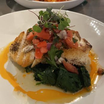 Boca Oyster Bar - Halibut and fra diavolo - New American Near Me - Bridgeport, Connecticut