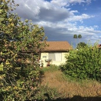 Urgent Care Tree & Lawn - A little overgrown! - Tree Services Near Me Urgent Care Tree & Lawn - A little overgrown! - Tree Services Near Me