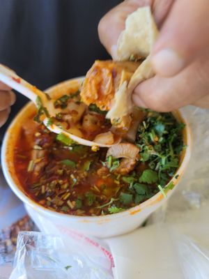 Mr.Menudo Oficial- Bellflower by null