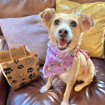 Newtopia Cyder - Dog friendly! - Cideries Near Me - San Diego, California Newtopia Cyder - Dog friendly! - Cideries Near Me - San Diego, California