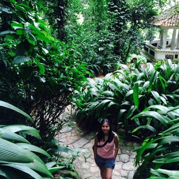 Jardim Botânico - Getting lost in the jungle... - Botanical Gardens Near Me - Rio de Janeiro, RJ