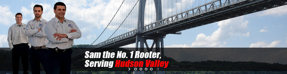 Slide of Number One Rooter