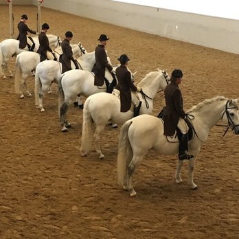 Spanish Riding School - Practice session - Performing Arts Near Me - Vienna, 9