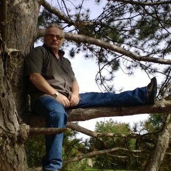 Rollingbrook Park - A man with glasses and a watch is sitting on a tree branch in a park, with a background of grass and trees. - Parks Near Me - Bloomington, Illinois