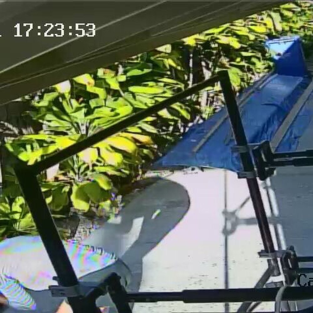 Punahou School - She is conscious of a security video camera. Is this child abuse?? This is not my fault.she is enjoying by herself. - Elementary Schools Near Me - Honolulu, Hawaii Punahou School - She is conscious of a security video camera. Is this child abuse?? This is not my fault.she is enjoying by herself. - Elementary Schools Near Me - Honolulu, Hawaii