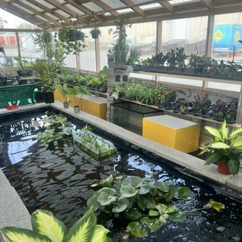 Fish Happens - Aquariums Near Me - Indianapolis, Indiana Fish Happens - Aquariums Near Me - Indianapolis, Indiana