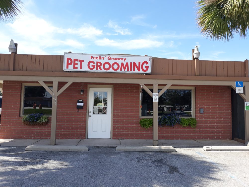 Feelin' Groomy Pet Spa Image