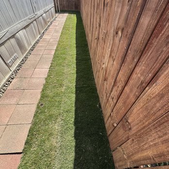 Elite Landscaping - Back side yard - Landscaping Near Me