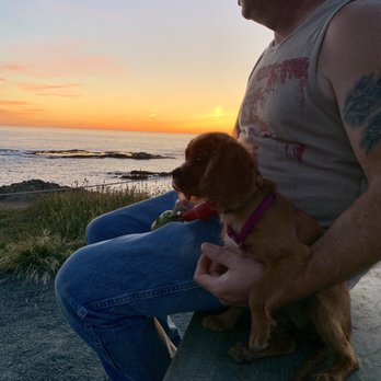 Covington Creek Veterinary Hospital - Veterinarians Near Me - Fort Bragg, California