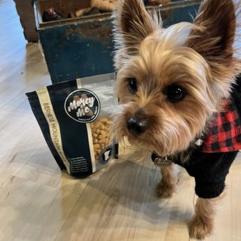 Sota Clothing - Dog friendly - Women's Clothing Near Me - Stillwater, Minnesota