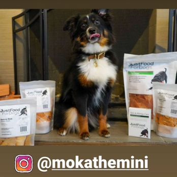 Just Food For Dogs - Salmon bark, chicken breast, and allergy supplements - Pet Stores Near Me - Seattle, Washington Just Food For Dogs - Salmon bark, chicken breast, and allergy supplements - Pet Stores Near Me - Seattle, Washington