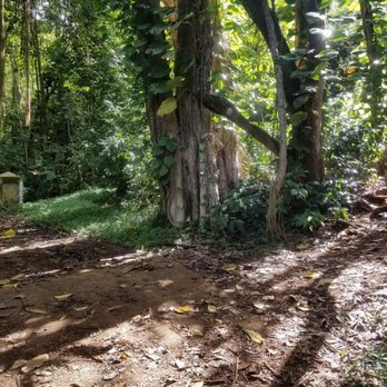 Likeke Falls - Hiking Near Me - Honolulu, Hawaii