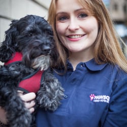 PawSquad - Dr Sinead Clancy, PawSquad mobile veterinarian