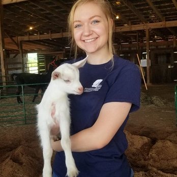 Spring Valley Farm - Baby animals are often available for kids and guests to meet and handle - Horse Boarding Near Me - Moneta, Virginia Spring Valley Farm - Baby animals are often available for kids and guests to meet and handle - Horse Boarding Near Me - Moneta, Virginia