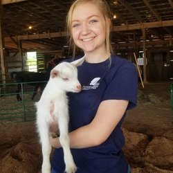 Spring Valley Farm - Baby animals are often available for kids and guests to meet and handle