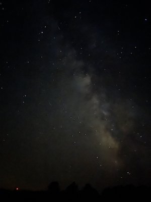 Cherry Springs State Park by null
