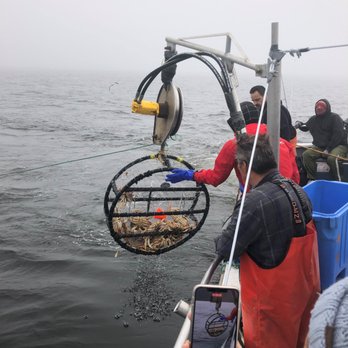 Sea Bass Sportfishing - Boat Charters Near Me