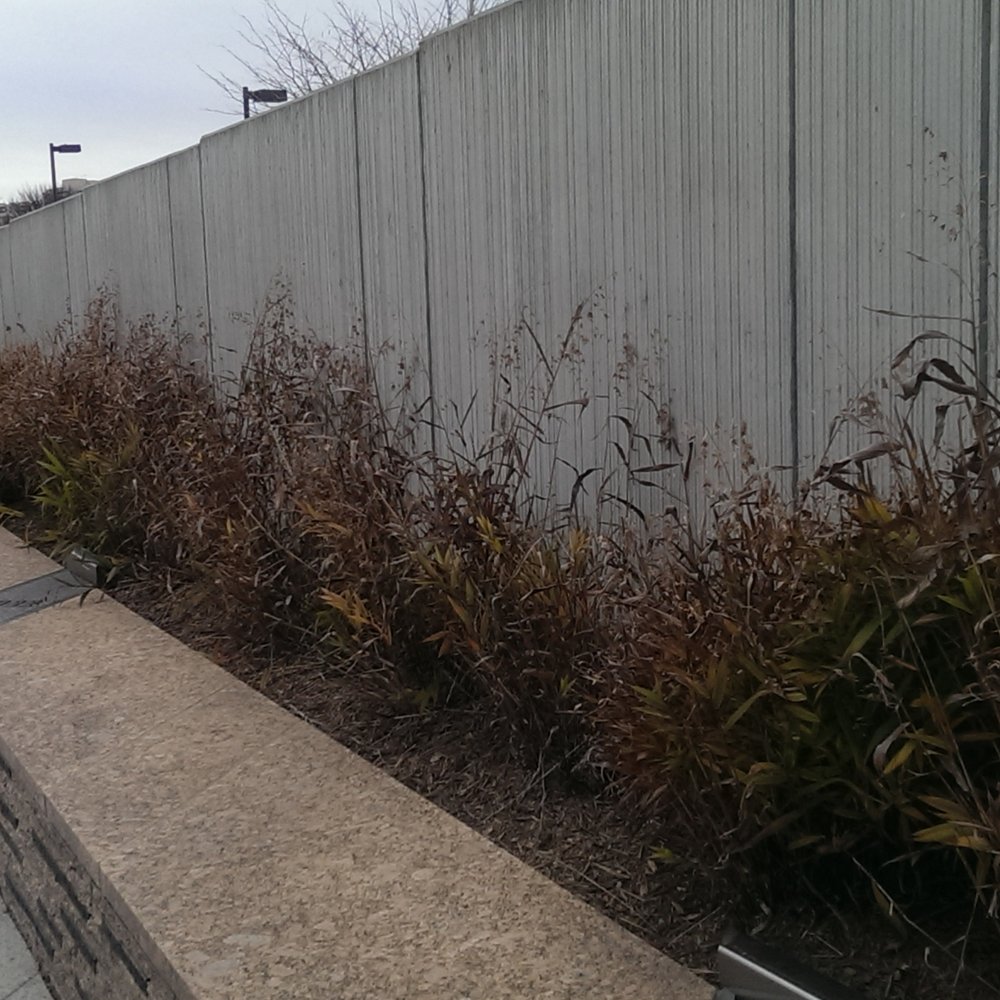 Pentagon Memorial - The back wall. Its height grows from 3" (the age of to youngest victim) to over 70+ inches the age of the oldest victim - Landmarks & Historical Buildings Near Me - Arlington, Virginia Pentagon Memorial - The back wall. Its height grows from 3" (the age of to youngest victim) to over 70+ inches the age of the oldest victim - Landmarks & Historical Buildings Near Me - Arlington, Virginia