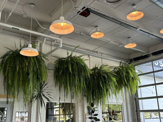 Austin Street Brewery by null