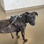 Photo of Sunrise Pet Hospital