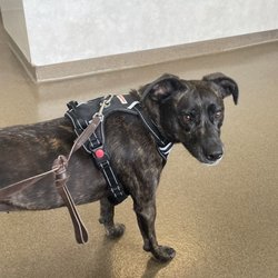 Sunrise Pet Hospital - In the lobby