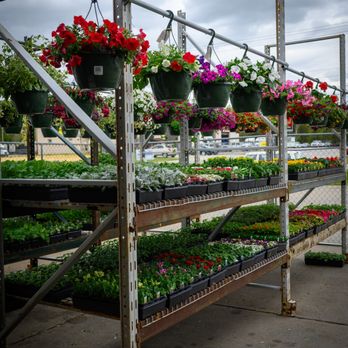 Pro Hardware - Hanging flower baskets and flats of flowers - Hardware Stores Near Me - Millwood, West Virginia Pro Hardware - Hanging flower baskets and flats of flowers - Hardware Stores Near Me - Millwood, West Virginia