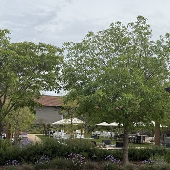 Etude Wines - Wineries Near Me - Napa, California
