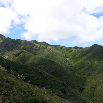 Kulepeamoa Ridge Hike - Kulepeamoa Ridge view from the Hawaii Loa Ridge trail. You will hike this! - Hiking Near Me - Honolulu, Hawaii Kulepeamoa Ridge Hike - Kulepeamoa Ridge view from the Hawaii Loa Ridge trail. You will hike this! - Hiking Near Me - Honolulu, Hawaii