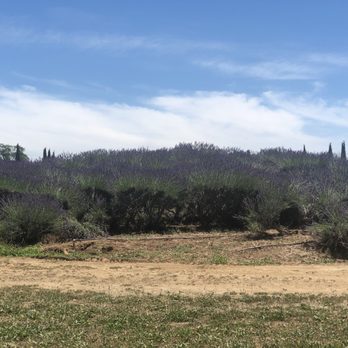 Lavender Ranch - Cosmetics & Beauty Supply Near Me - Biggs, California