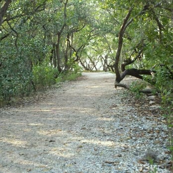 Desoto National Memorial - Nature Trail - Parks Near Me - Bradenton, Florida Desoto National Memorial - Nature Trail - Parks Near Me - Bradenton, Florida