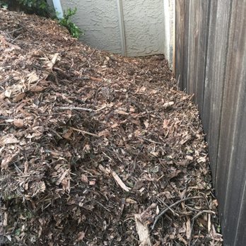 Rod's Tree Service - Tree Services Near Me - Carmichael, California Rod's Tree Service - Tree Services Near Me - Carmichael, California