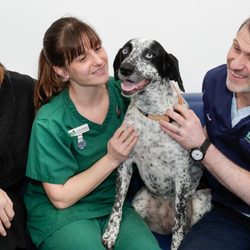 Damory Veterinary Clinic