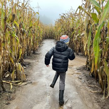 Plumper Farms - Pumpkin Patches Near Me - Portland, Oregon